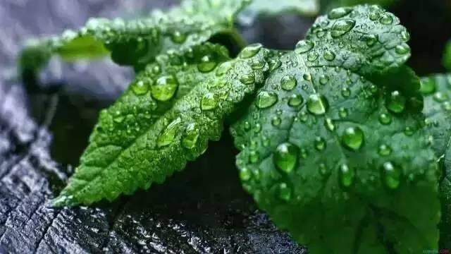 微信图片_20220804041150